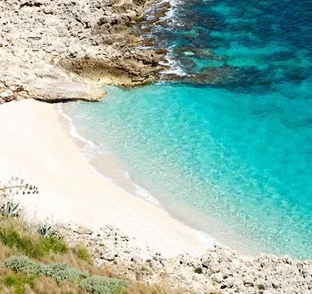 Endless Summer Appartement Castelluzzo